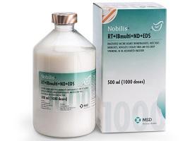 Nobilis RT IB multi ND EDS bottle next to cardboard carton
