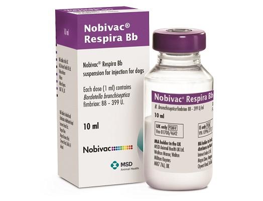 Image of Nobivac Respira Bb vial next to carton