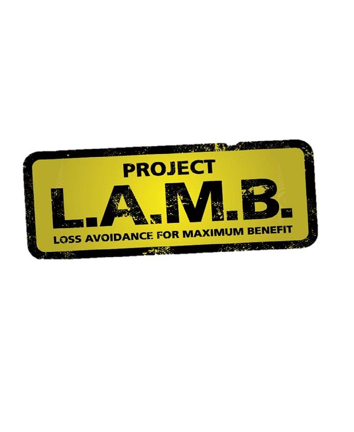Project LAMB