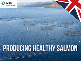 Image of a salmon farm