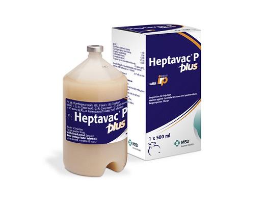 Heptavac® P Plus | MSD Animal Health HUB