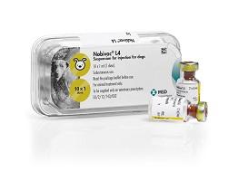 Nobivac® L4, suspension for injection for dogs | MSD Animal Health HUB