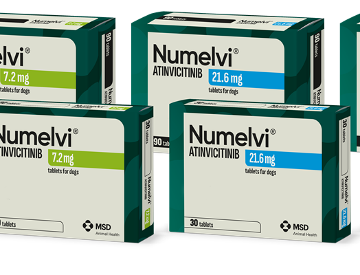 Numelvi® | MSD Animal Health HUB